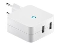 Neklan - Adaptateur secteur - 4.2 A - 2 connecteurs de sortie (USB) - blanc 6901051